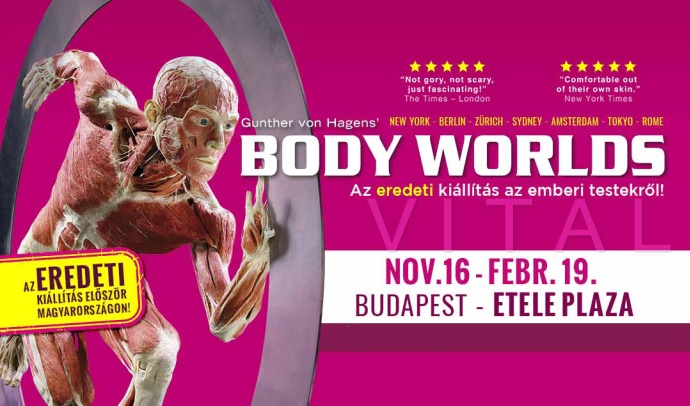 BODY kiállítás az Etele Pálázában! Belépő vásárlás és jegyárak itt!